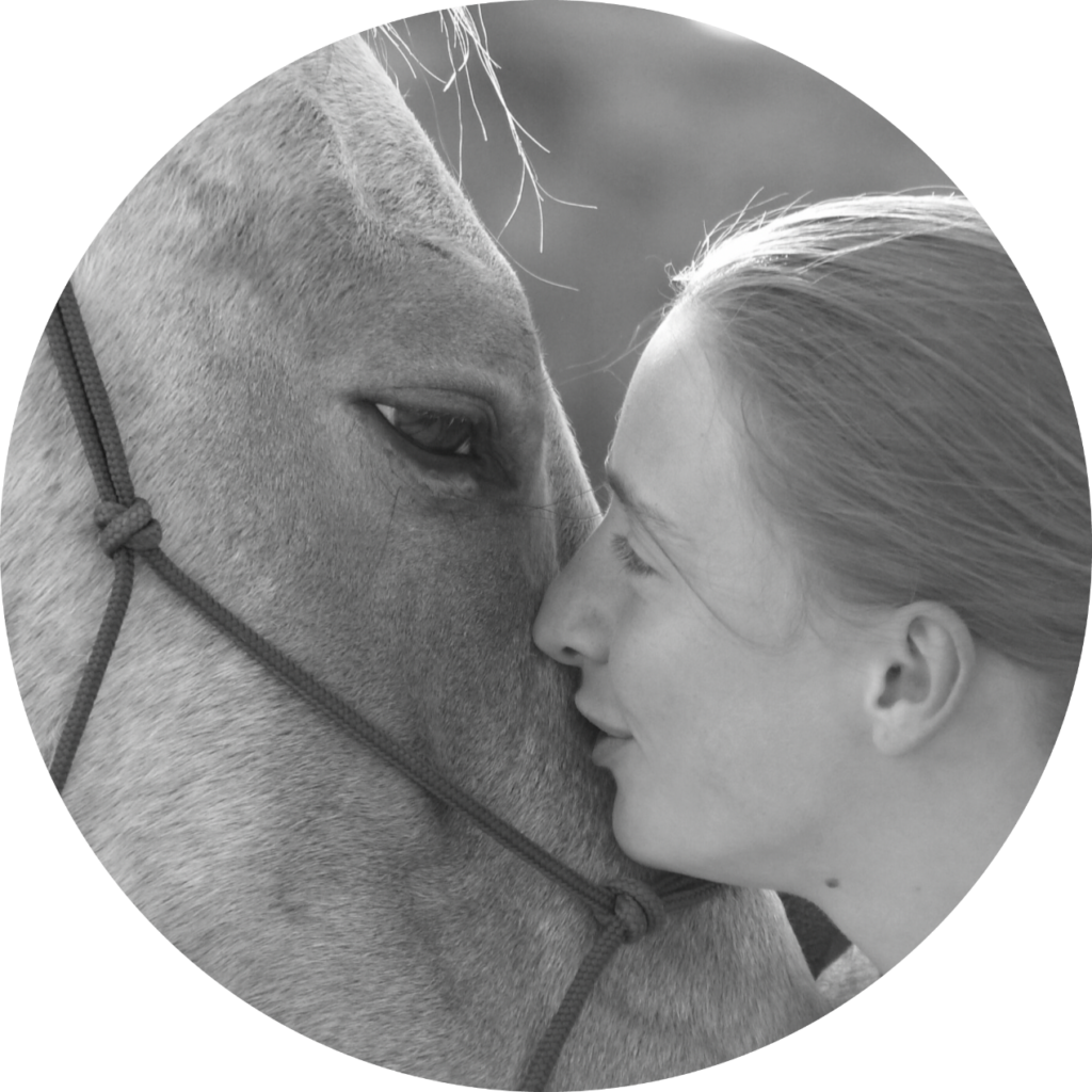 communication animale